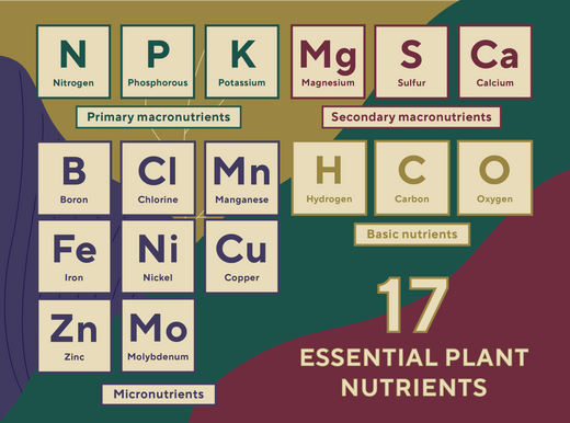 17 Essential Plant Nutrients - Basic and Macronutrients