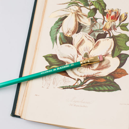 Blackwing Volume 811 pencil on top of a floral illustration in a book