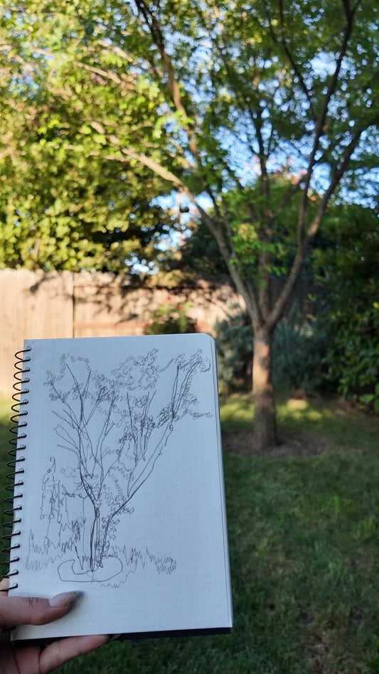 sketch of a tree in a spiral notebook with a person holding it up against the tree they sketched
