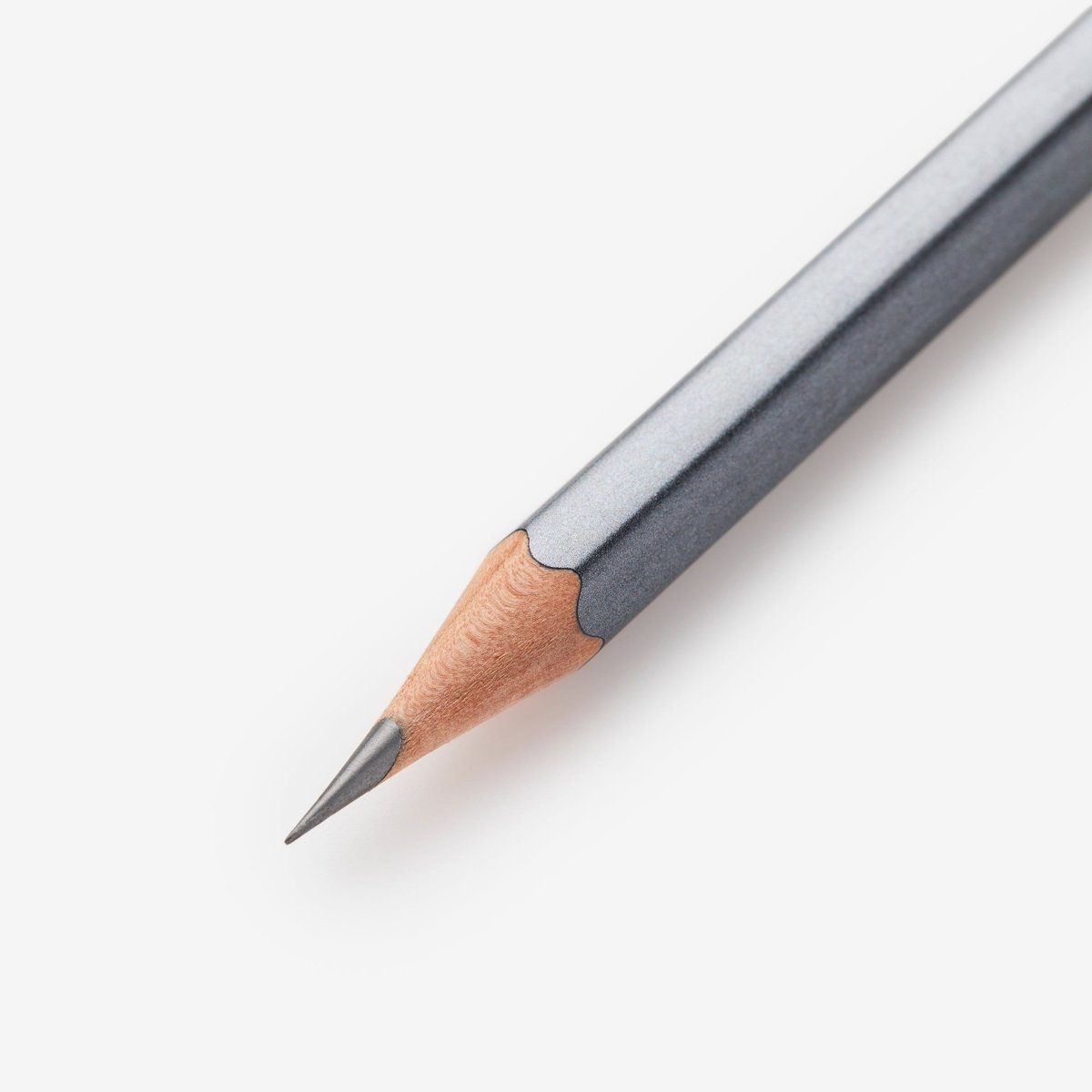 Palomino Blackwing - Suchergebnis Auf Für Palomino Blackwing - Suchergebnis Auf Für
