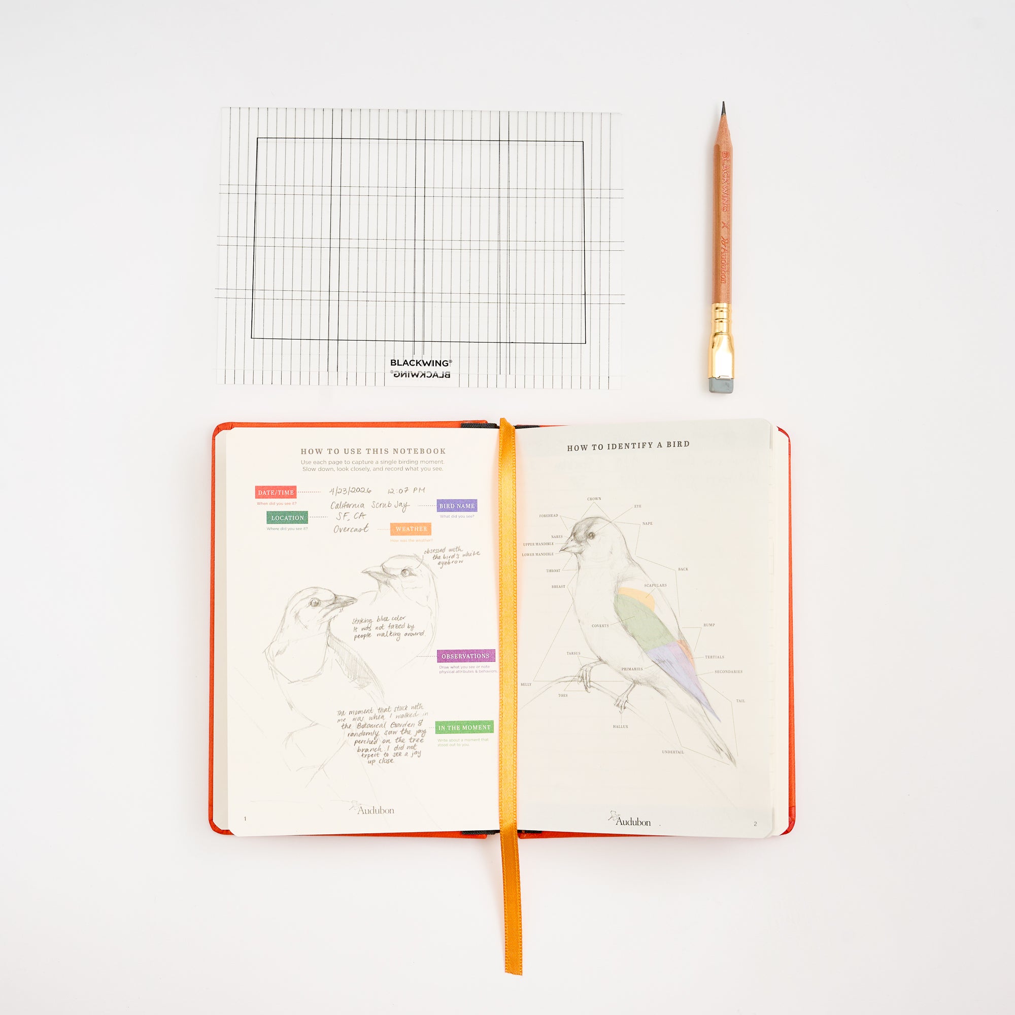 An open hardcover journal with bird illustrations and notes, a sharpened wooden pencil, a black-and-white grid drawing template, and a yellow-orange ribbon bookmark arranged on a white background.