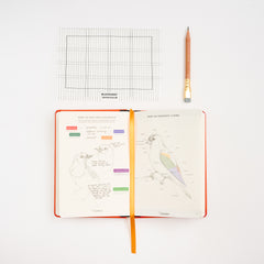An open hardcover journal with bird illustrations and notes, a sharpened wooden pencil, a black-and-white grid drawing template, and a yellow-orange ribbon bookmark arranged on a white background.