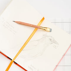 A close-up of an open sketchbook with a pencil drawing of a bird, with a yellow-orange bookmark ribbon and crossed by a Blackwing Natural short pencil with a gold ferrule and grey eraser.