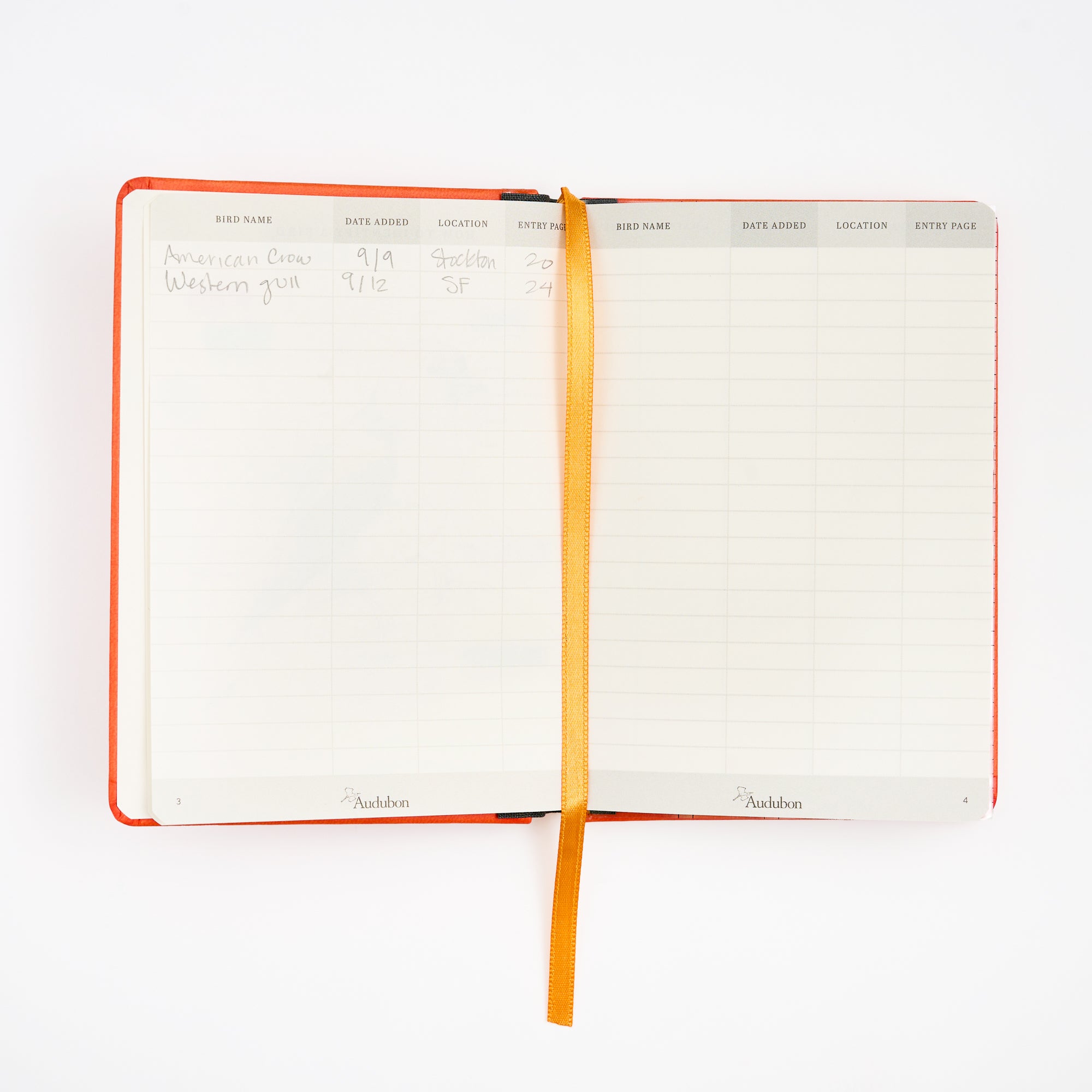 An open lined birding notebook with a bright orange cover and a gold bookmark ribbon, photographed on a clean white background.