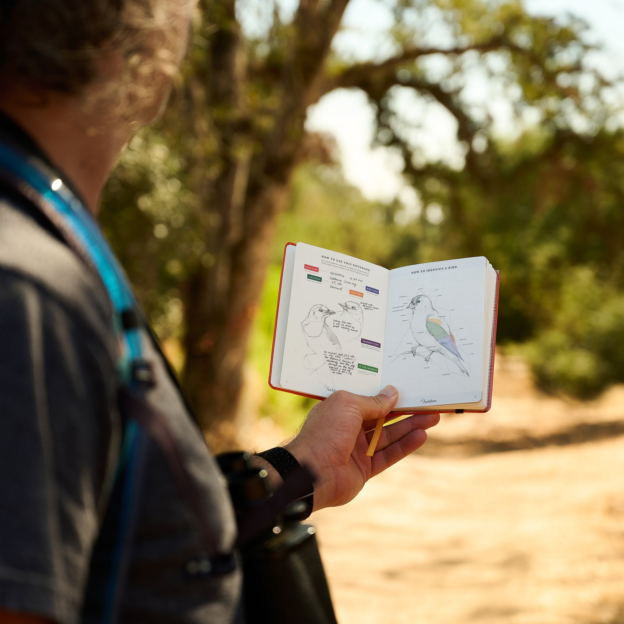 A person outdoors holding an open sketchbook showing a bird illustration and notes, with a blurred natural background of trees and sunlight.