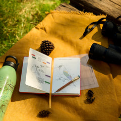 An open sketchbook with bird illustrations with a sharpened wood pencil on top lies on a mustard yellow blanket outdoors, surrounded by a green water bottle, pinecones, a pencil, and black binoculars on a wooden surface.
