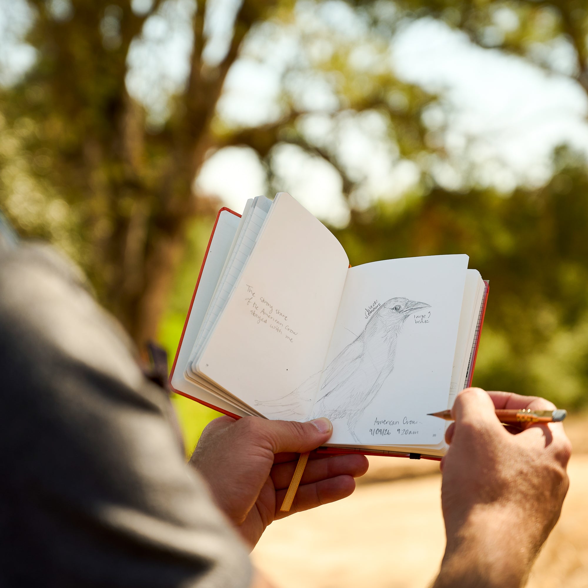 A person outdoors holds an open sketchbook with a pencil drawing of a bird and handwritten notes, with a blurred natural background of trees and sunlight.
