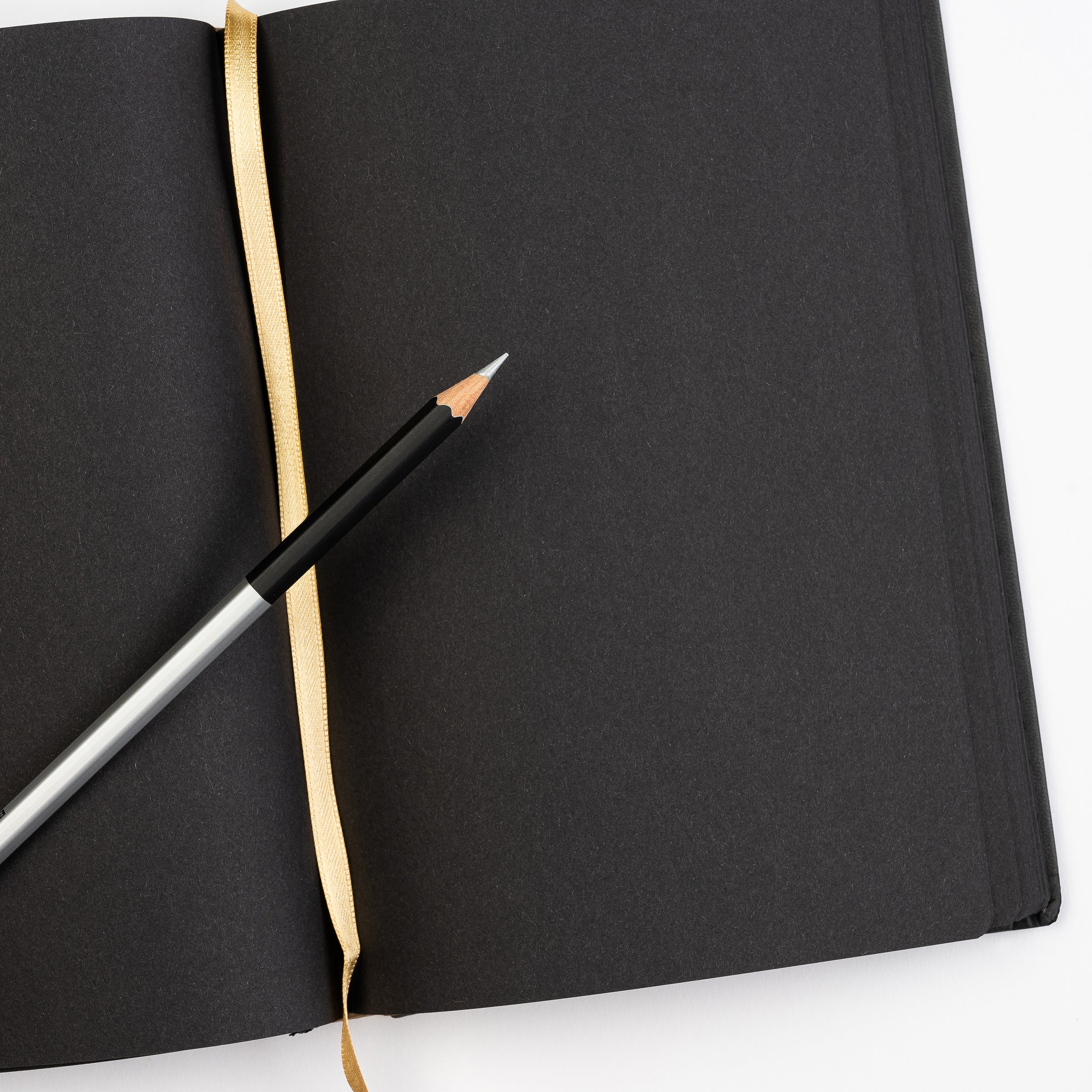 Blackwing Lab 05.13.25 Black Paper Notebook with Silver Pencil