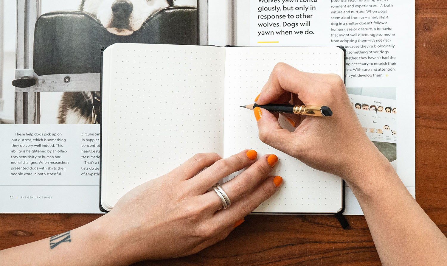 Blackwing x TRAVELER'S COMPANY Kit | Blackwing602.com